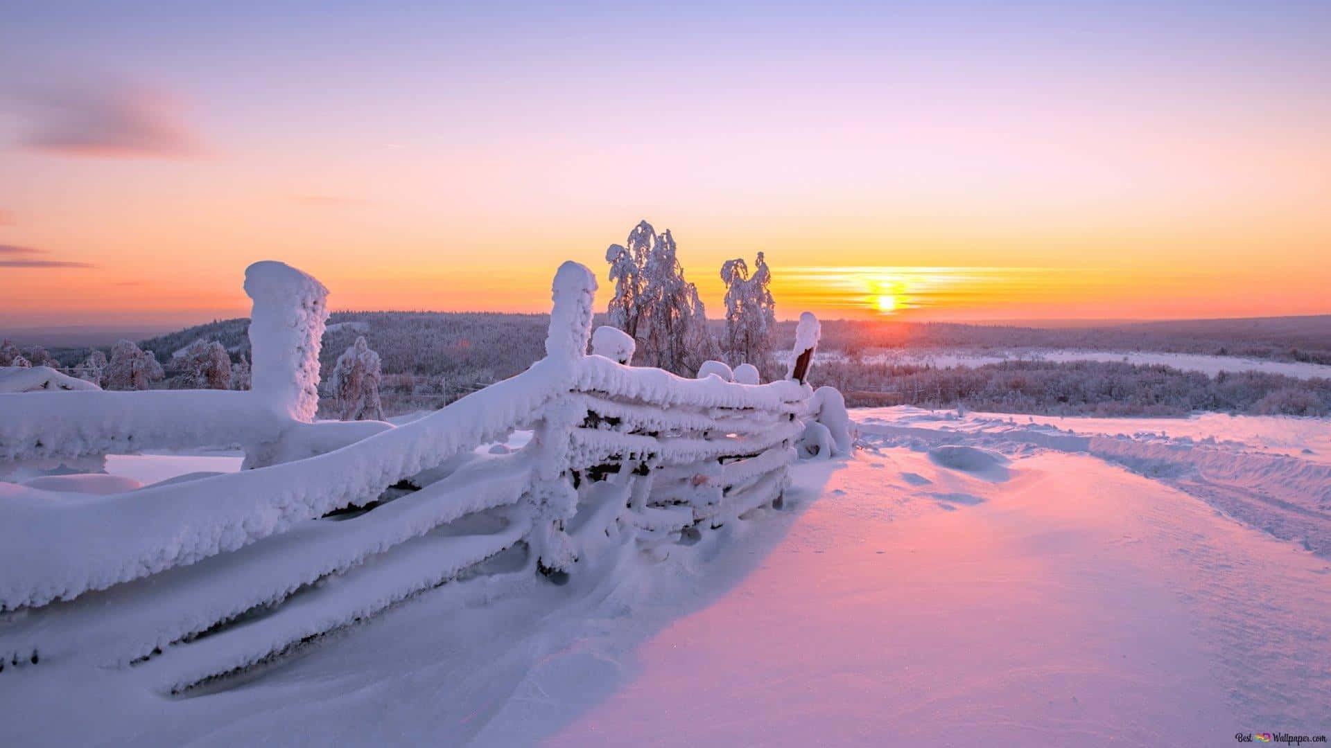Stunning Winter Sun Glistening Over a Snow-Covered Landscape Wallpaper