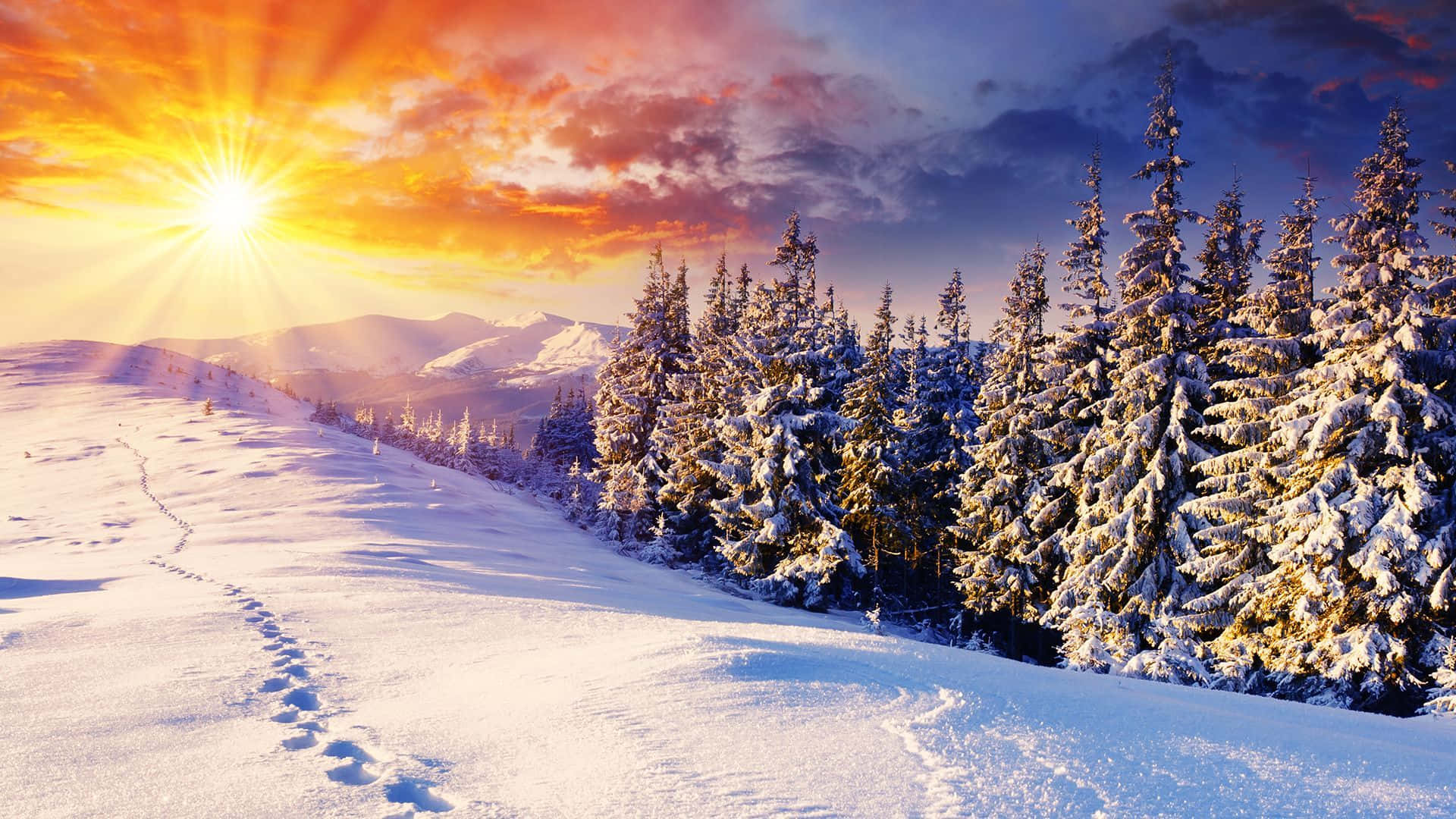 A Beautiful Winter Sun Landscape Wallpaper