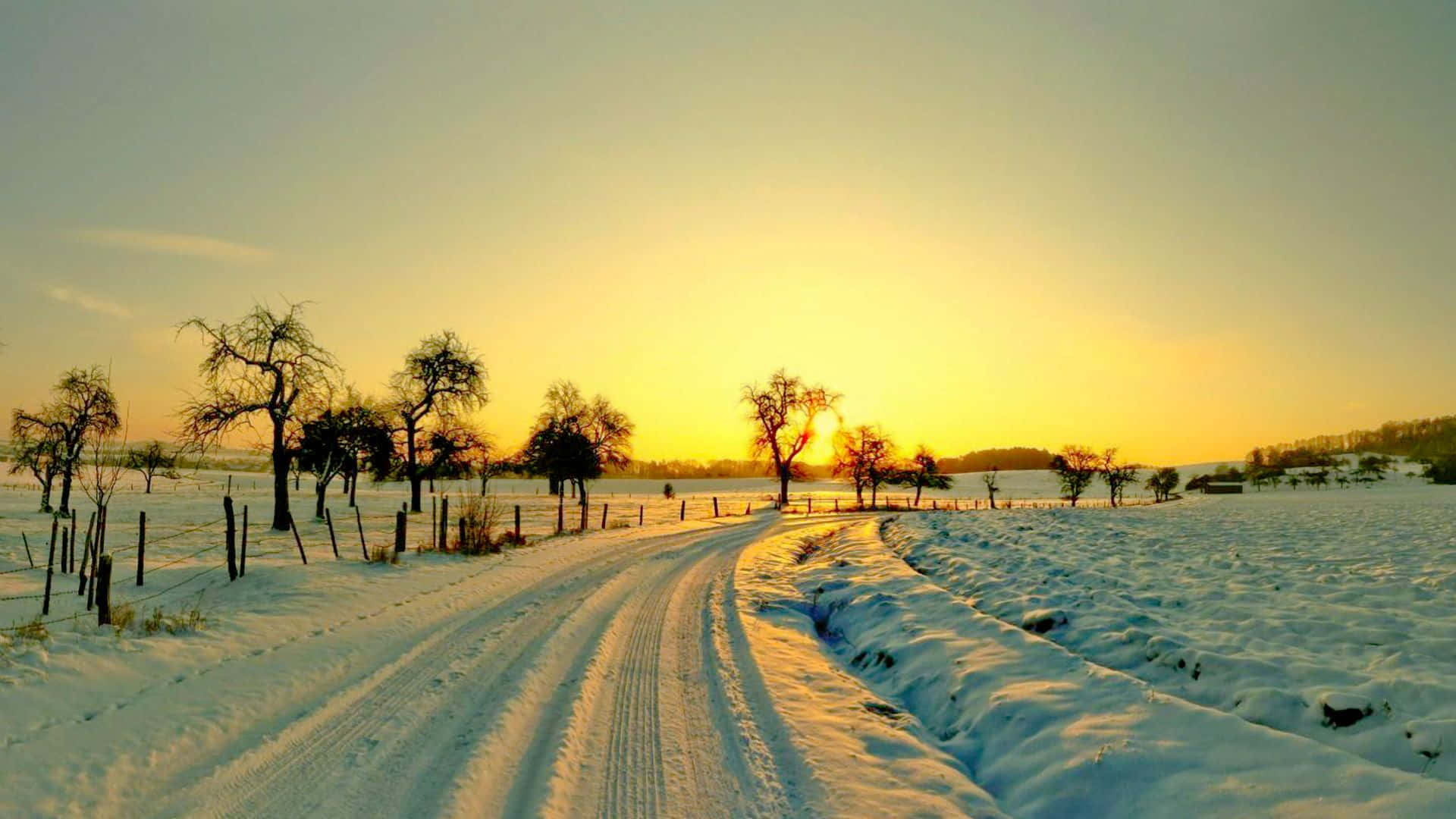 Caption: A Breathtaking Winter Sun Landscape Wallpaper