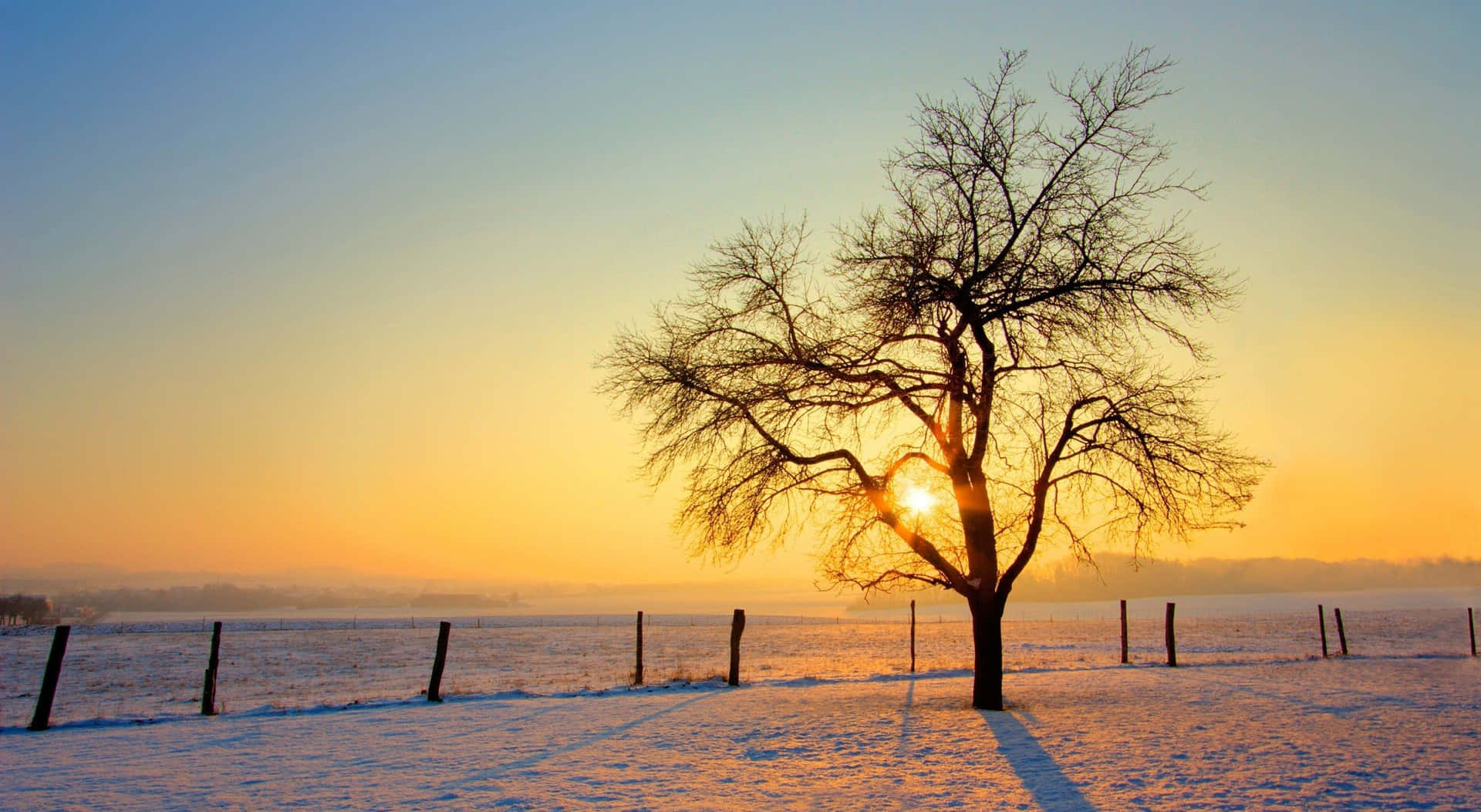 Caption: Breathtaking Winter Sun Landscape Wallpaper