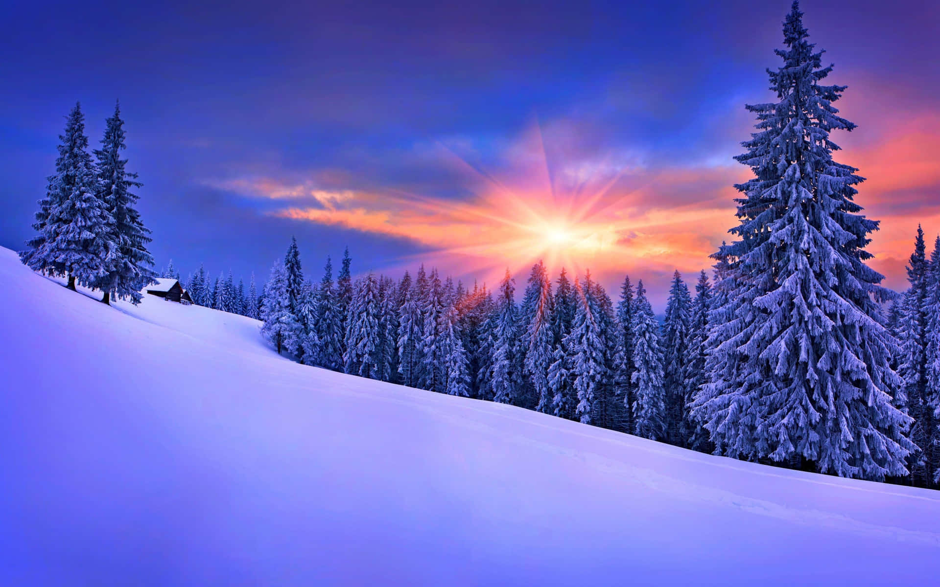 Winter Sun Shining Over Snowy Landscape Wallpaper