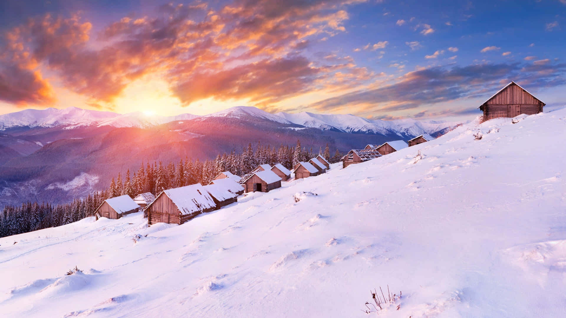 Embracing the Winter Sun Wallpaper