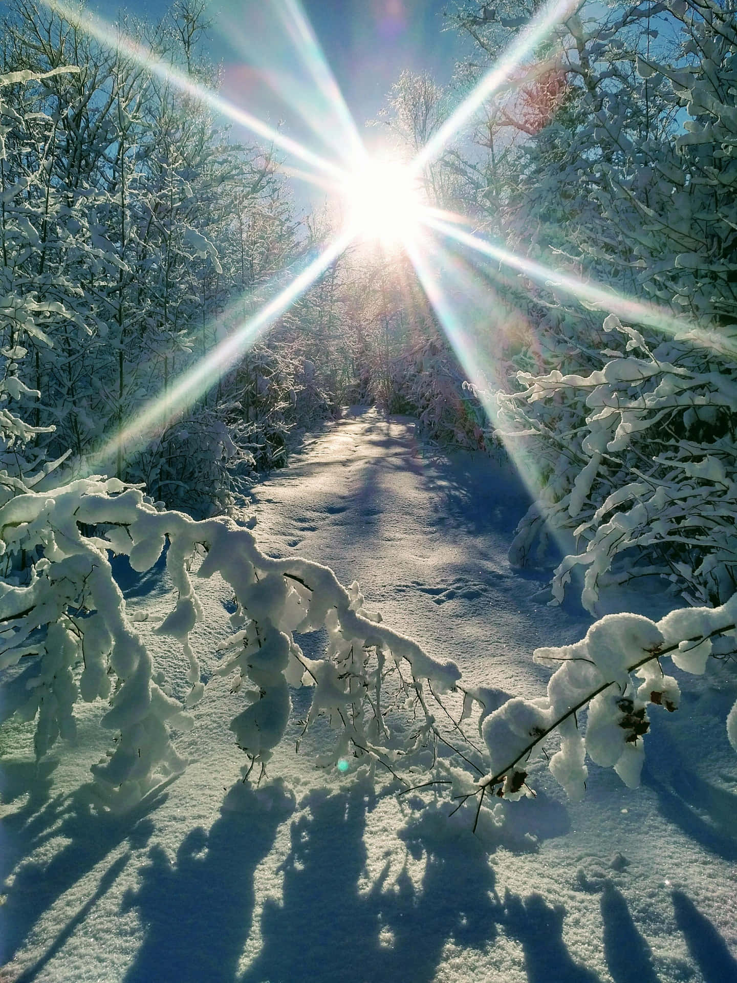 Winter Sunburst Over Snowy Path Wallpaper