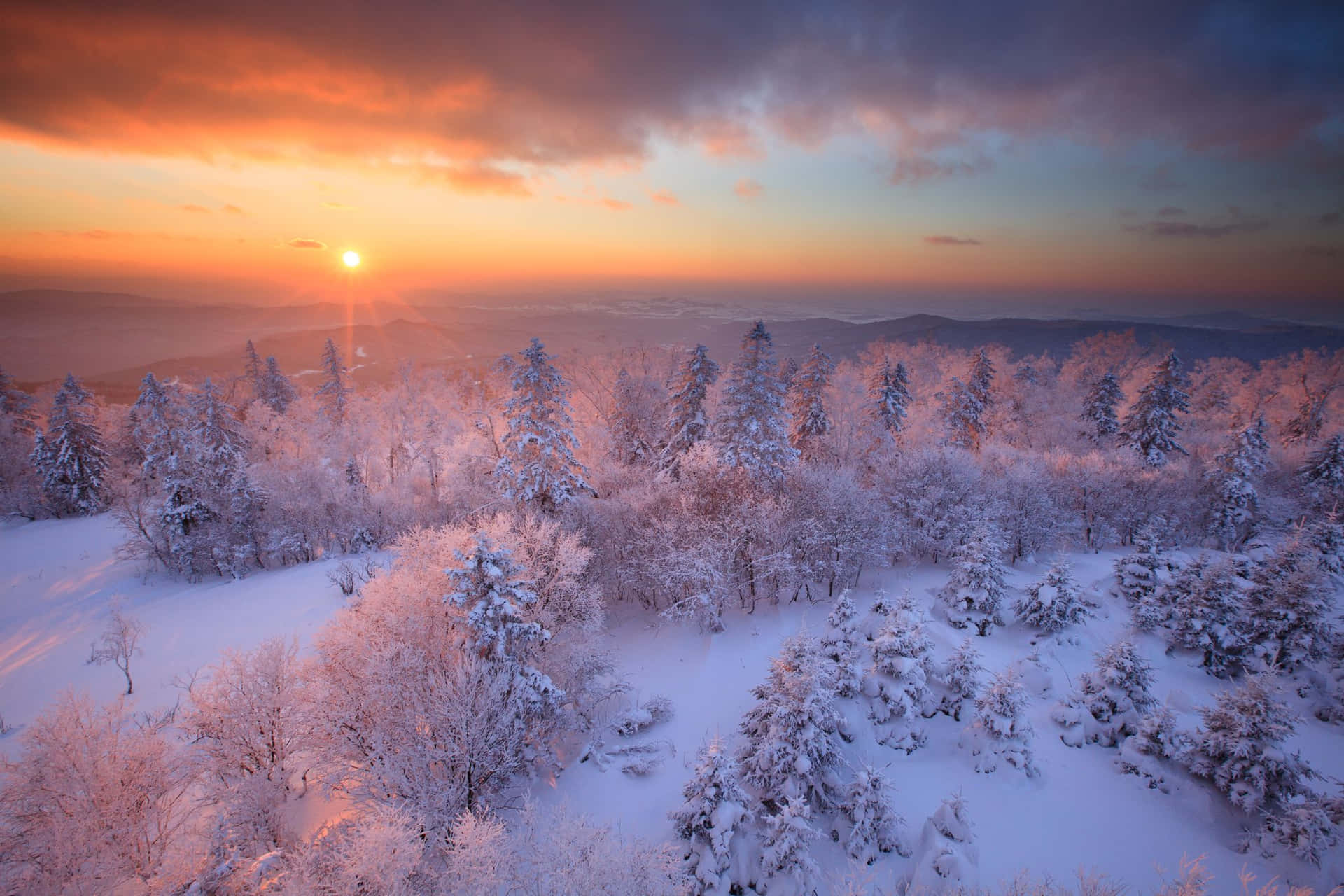 Winter Sunrise Snowscape.jpg Wallpaper