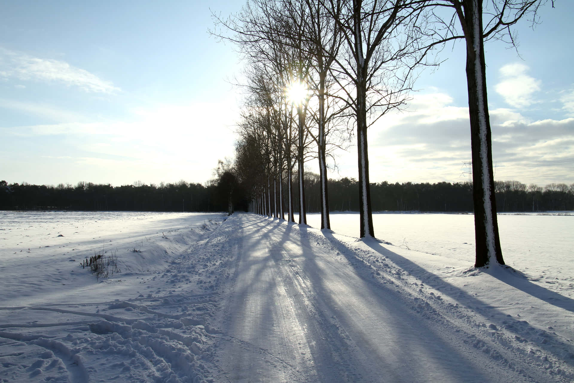 Winter Sunrise Tilburg Park Path Wallpaper