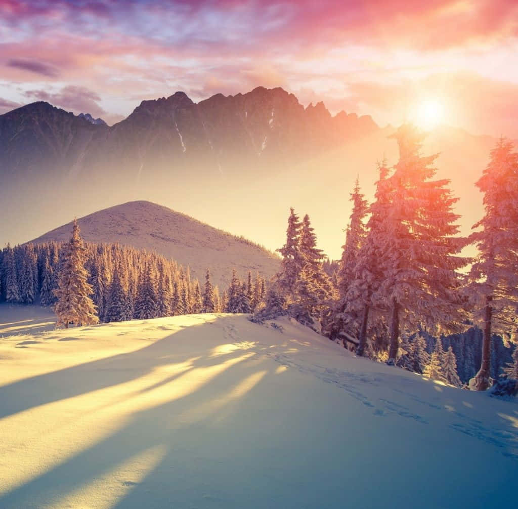 A Breathtaking Winter Sunset Wallpaper