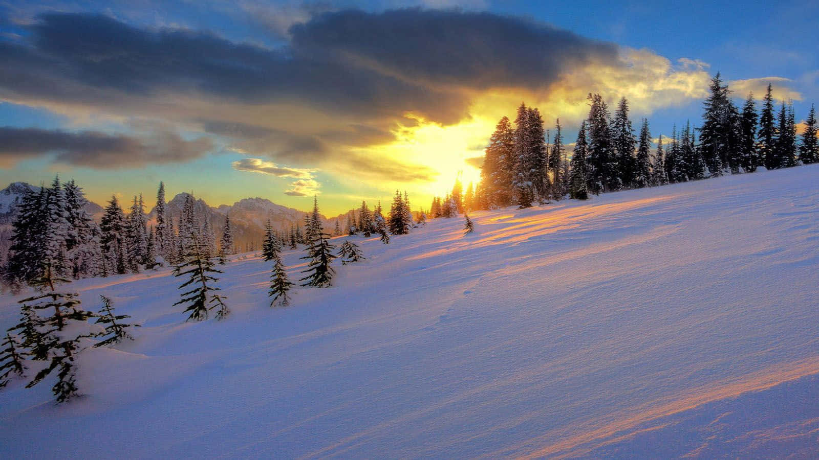 Captivating Winter Sunset Wallpaper