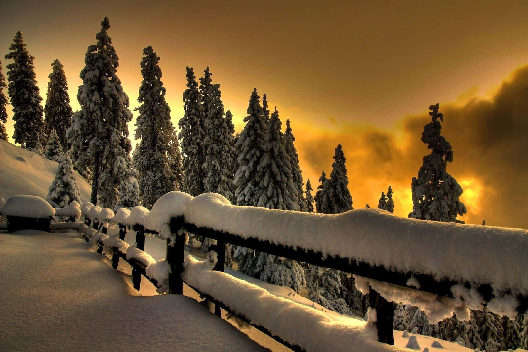 Caption: Majestic Winter Sunset Wallpaper