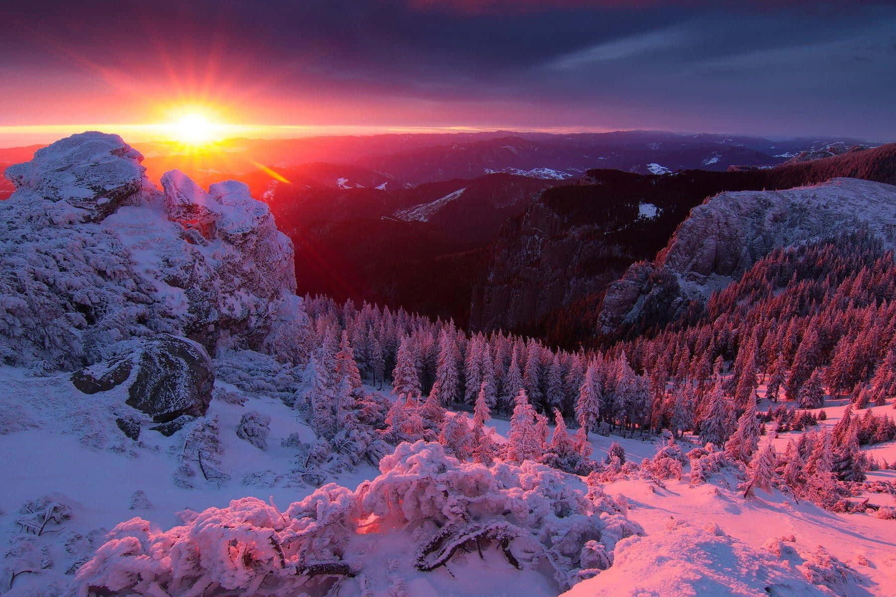 Captivating Winter Sunset Wallpaper