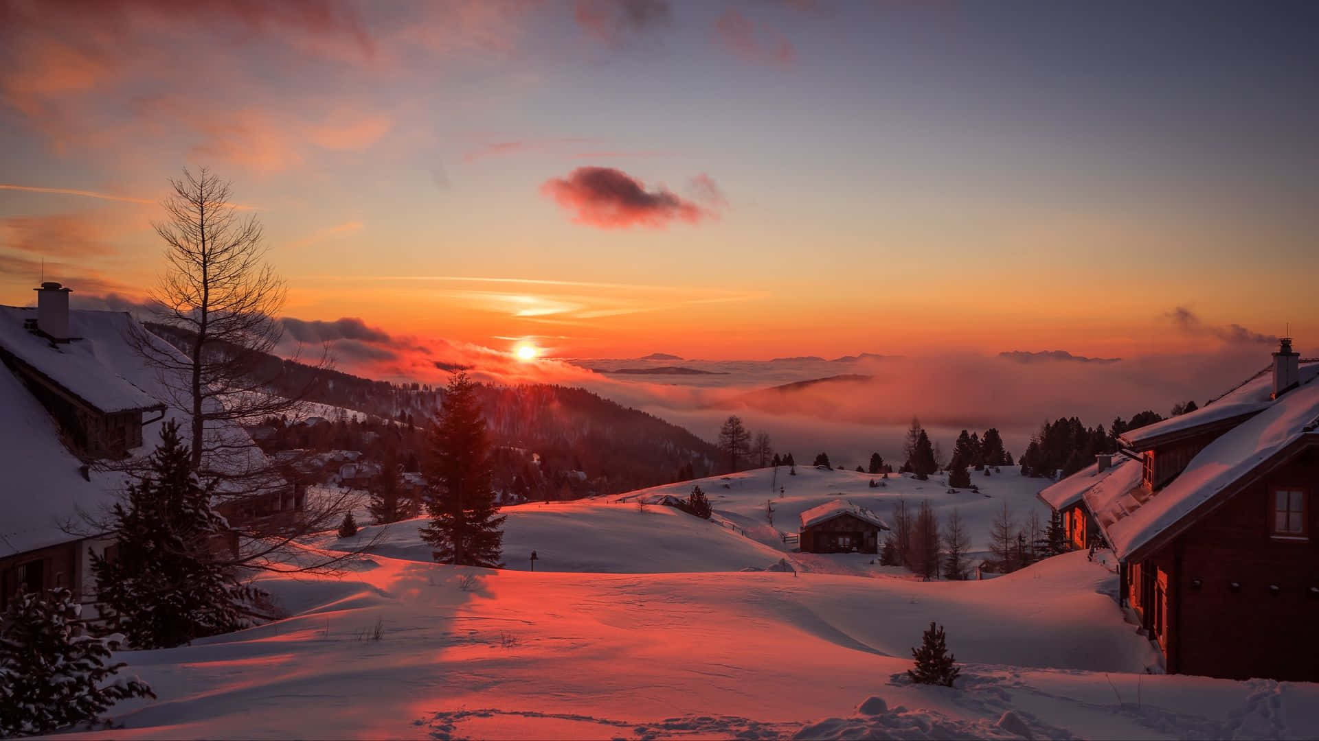 Magical Winter Sunset Wallpaper