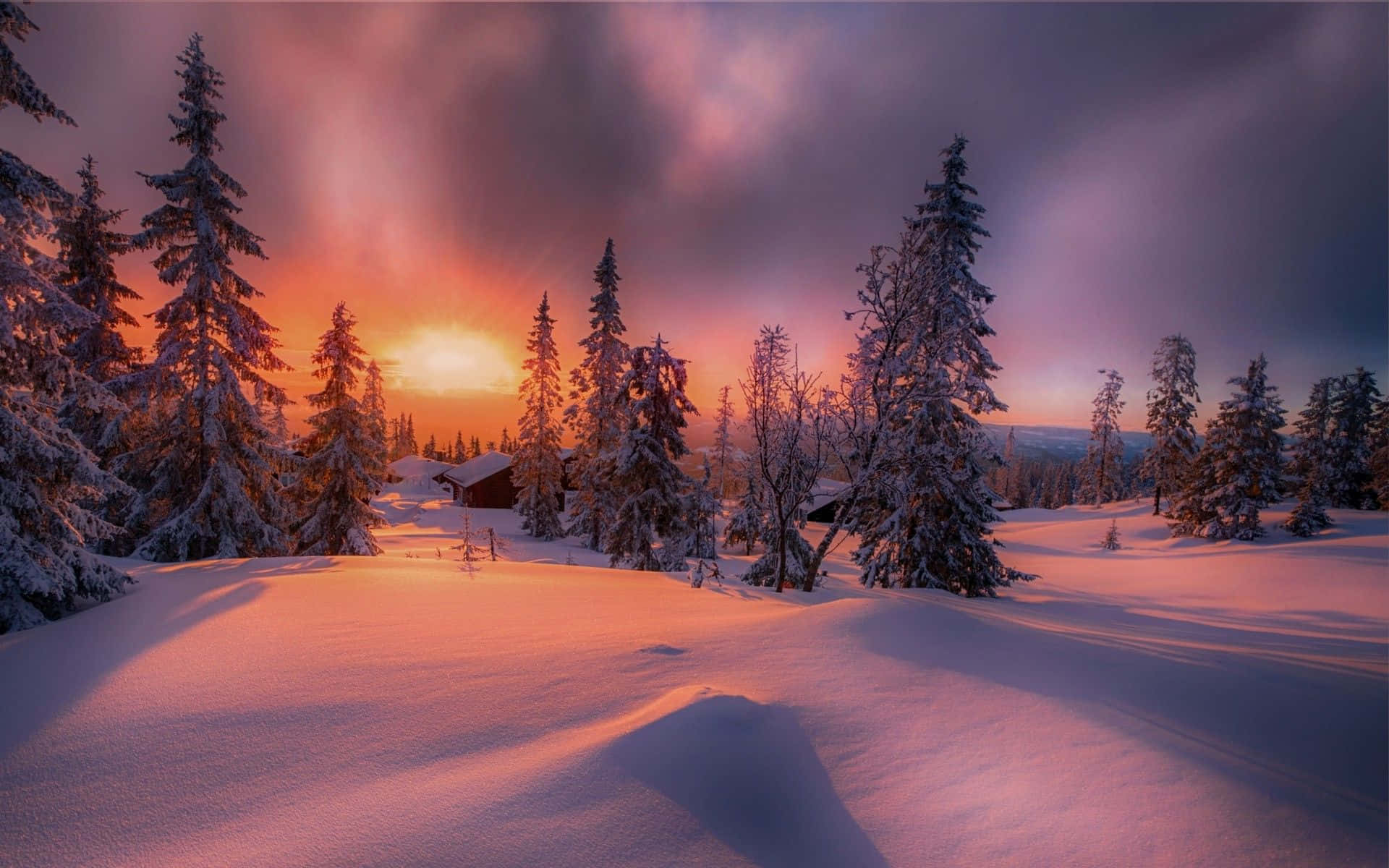 Stunning Winter Sunset Wallpaper