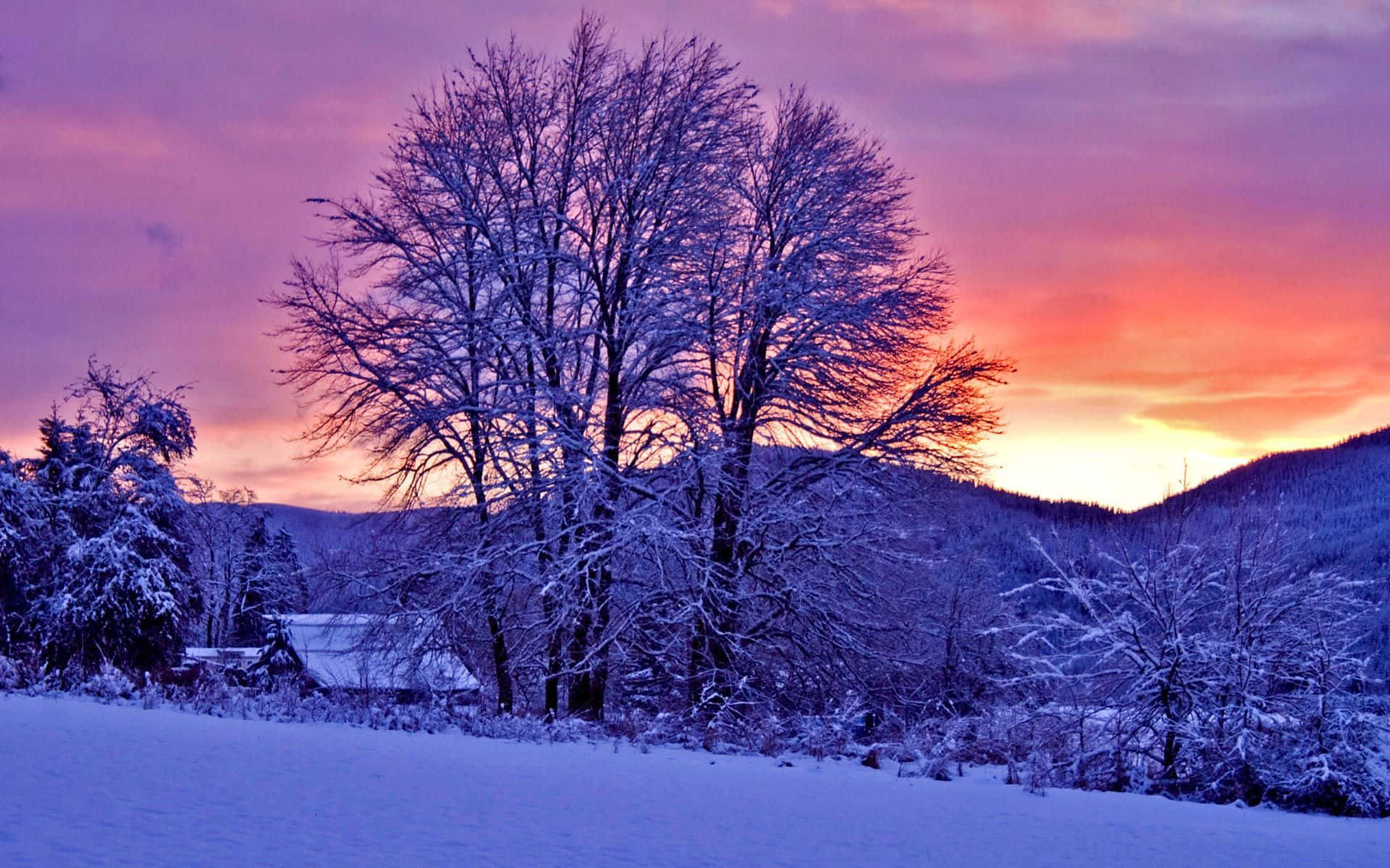 Majestic Winter Sunset over Snowy Landscape Wallpaper