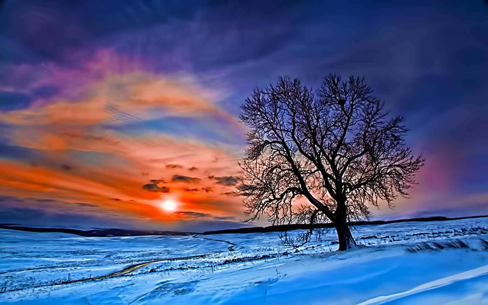 A Magical Winter Sunset Wallpaper