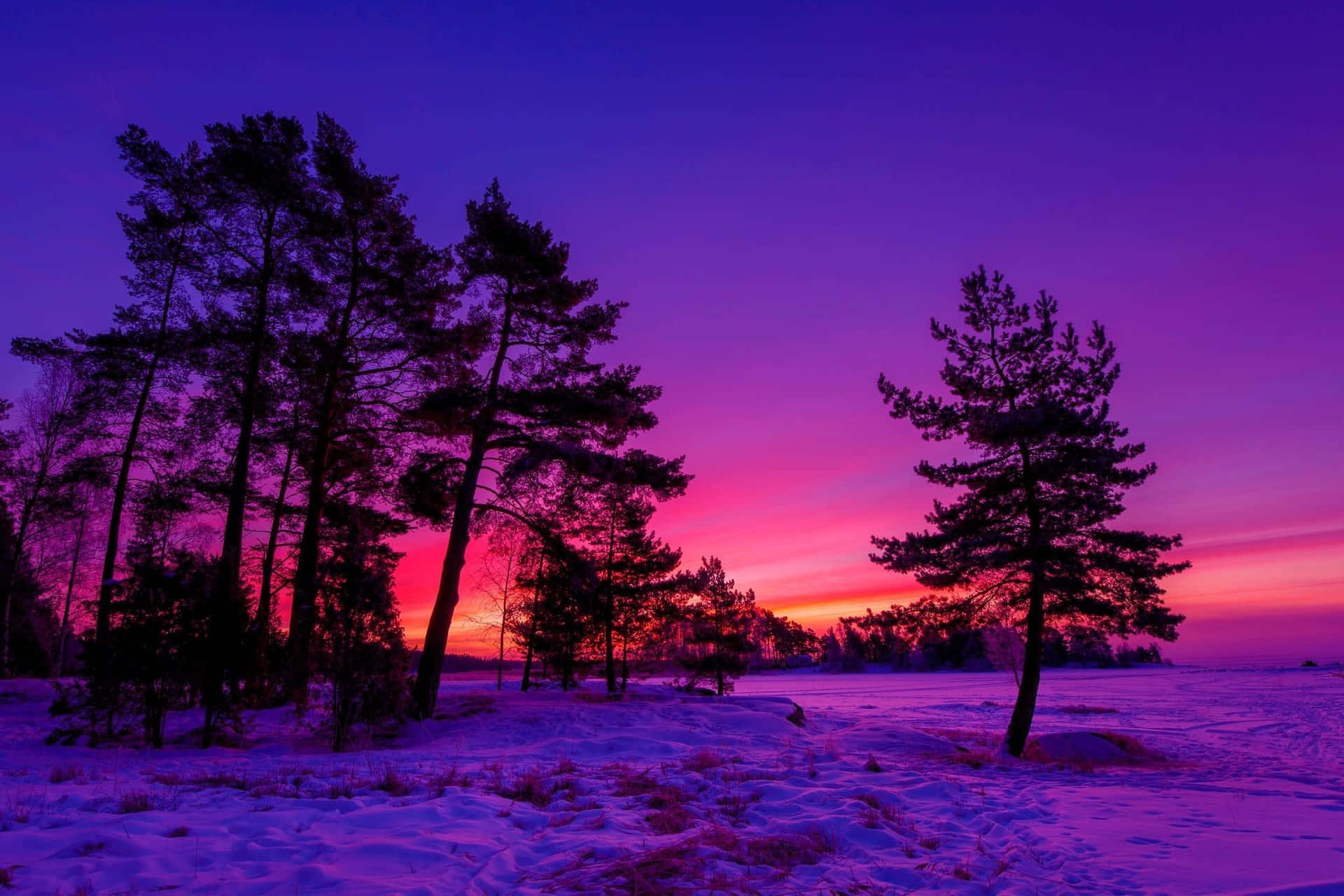 Winter Sunset Over Snowy Landscape Wallpaper