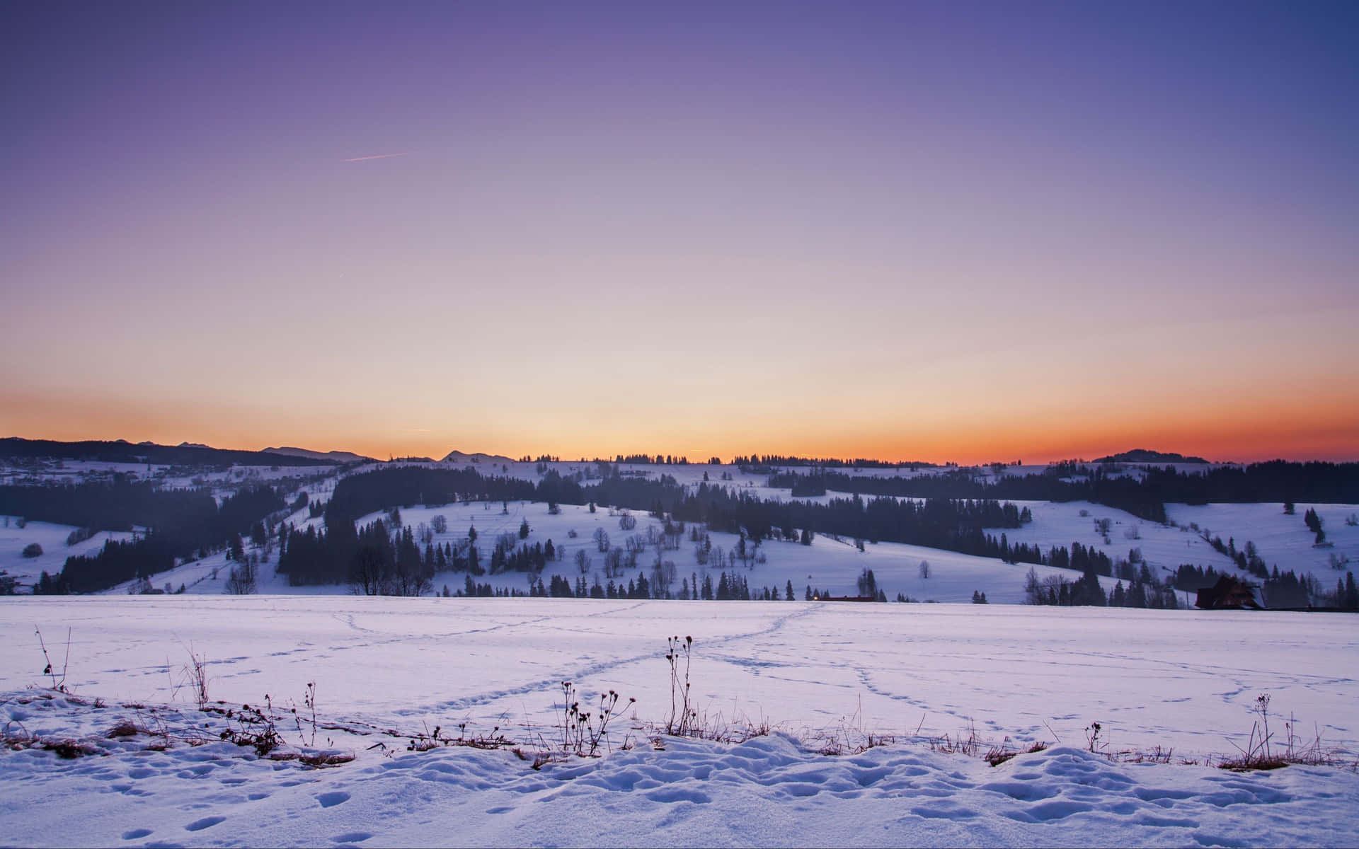 Winter Sunset Over Snow-Covered Landscape Wallpaper