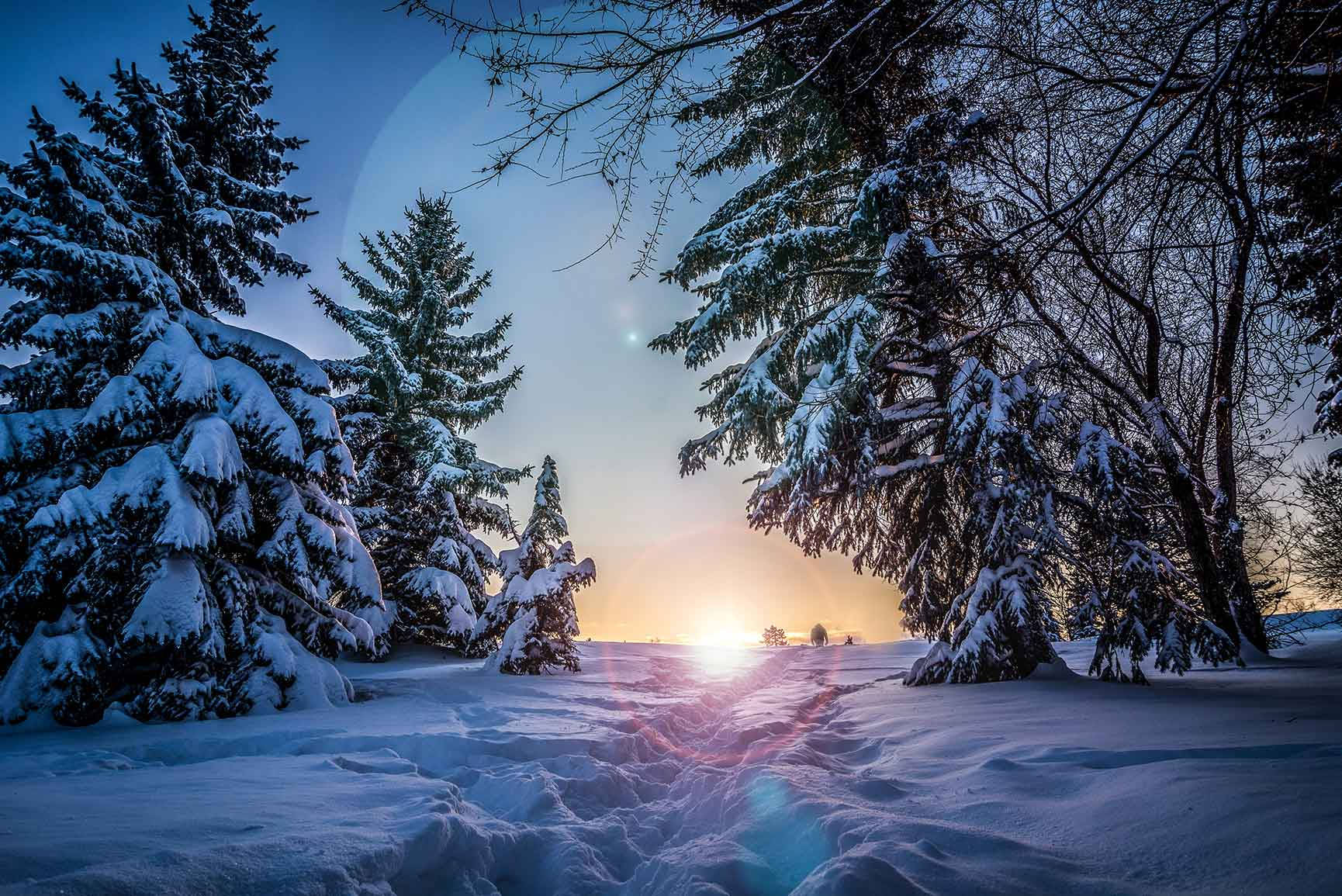 Winter Sunset Glow Forest Snowscape.jpg Wallpaper