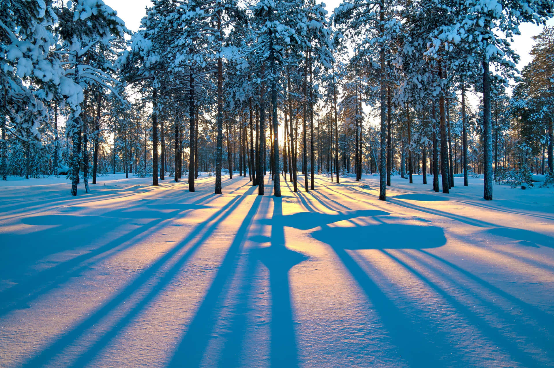 Winter Sunset Shadows.jpg Wallpaper