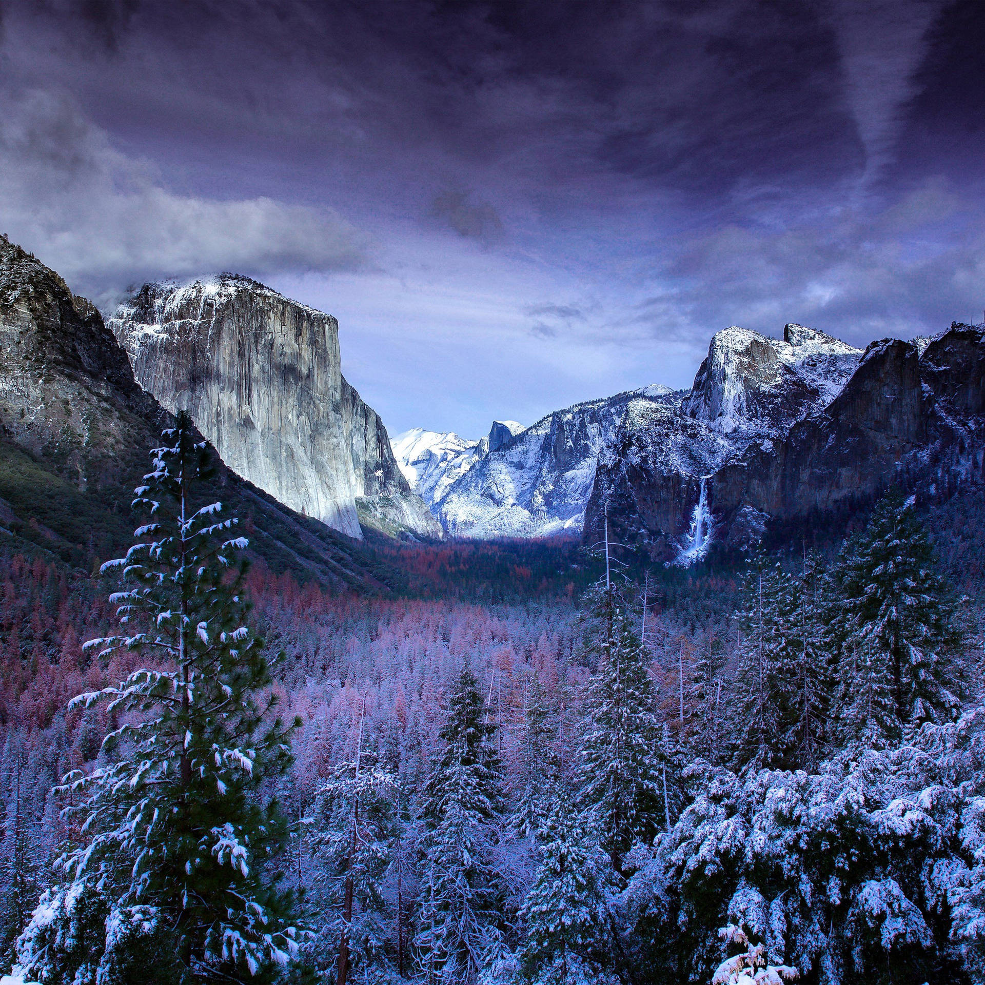 Winter Trees And Mountains Wallpaper