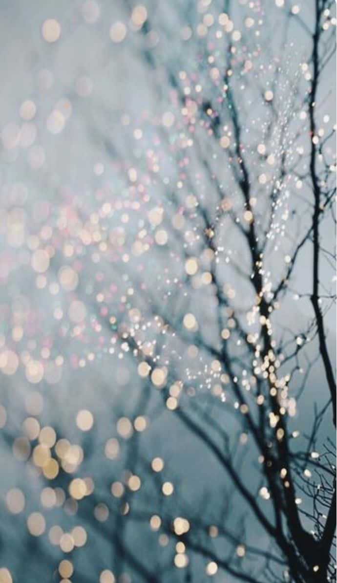 Winter_ Twinkle_ Lights_ Branches.jpg Wallpaper