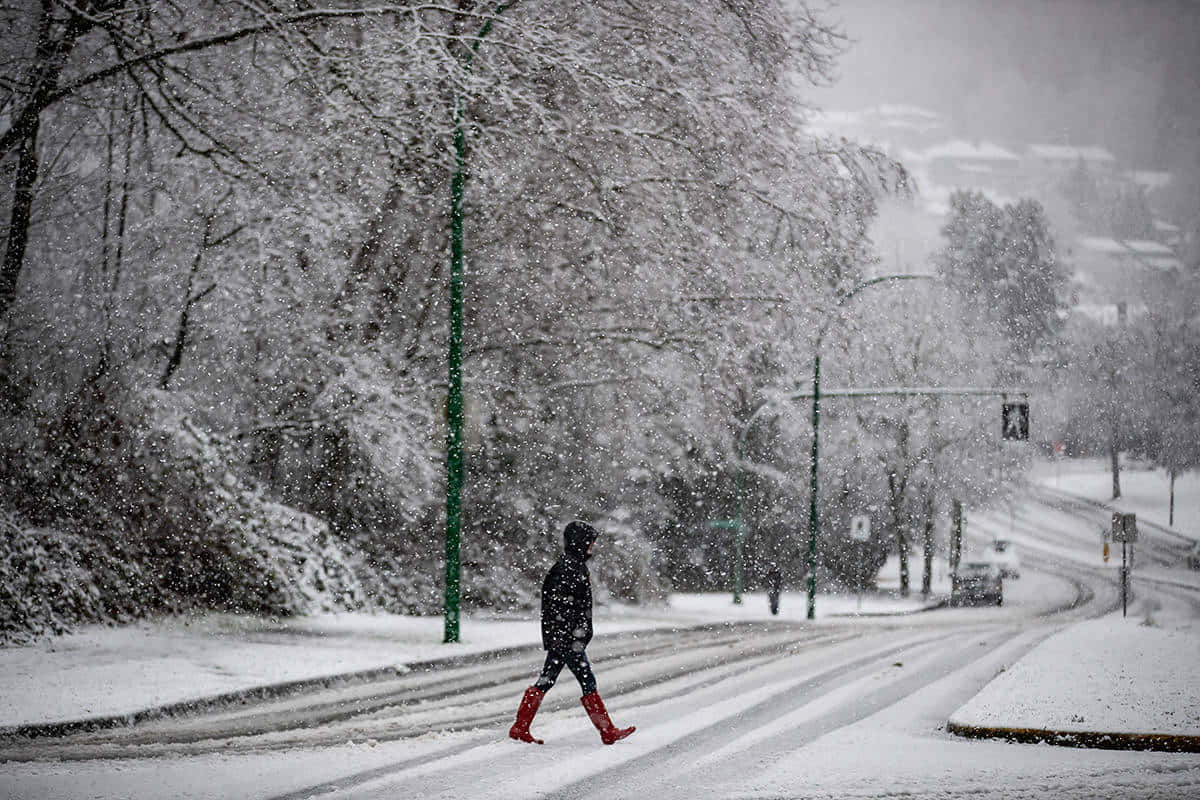 Winter Walkin Burnaby Snowfall Wallpaper