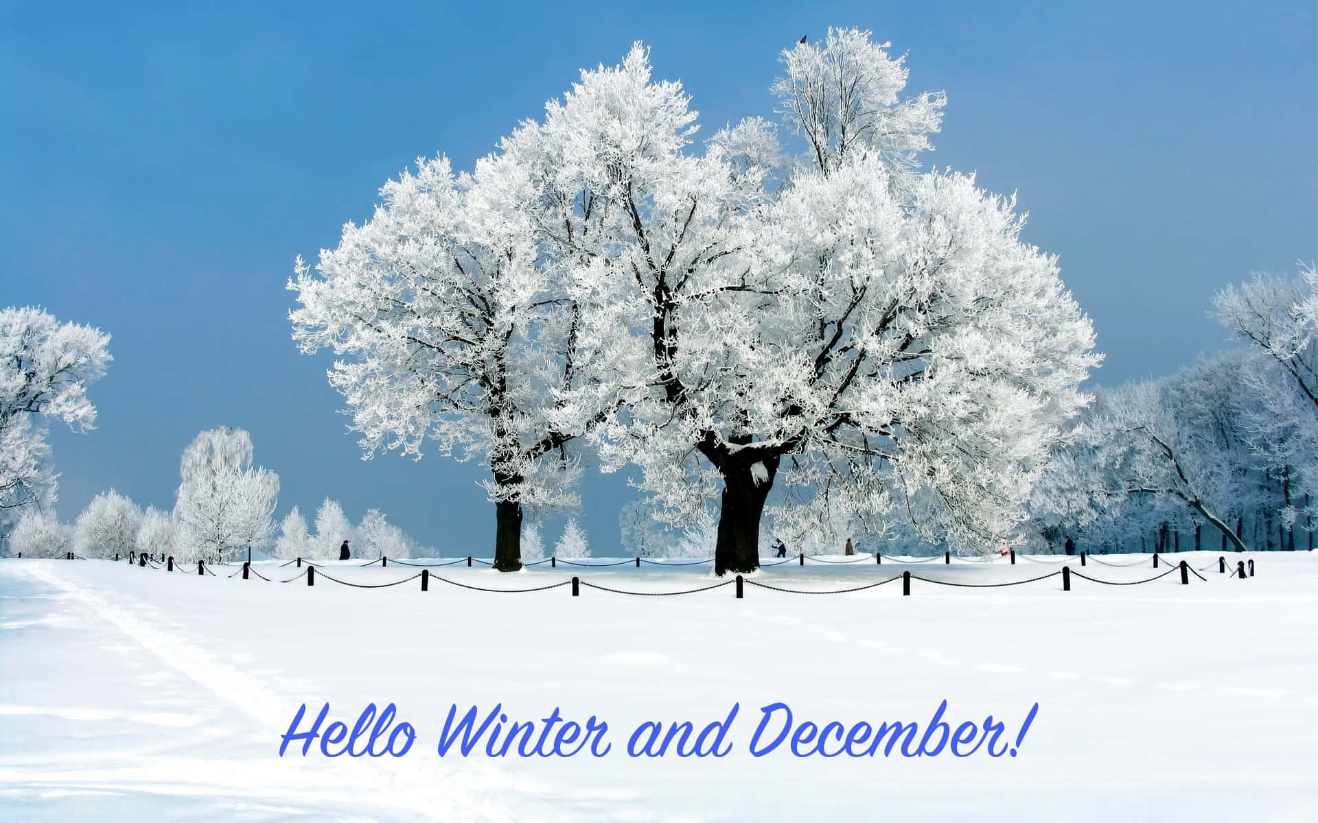 Winter Welcome December Landscape.jpg Wallpaper