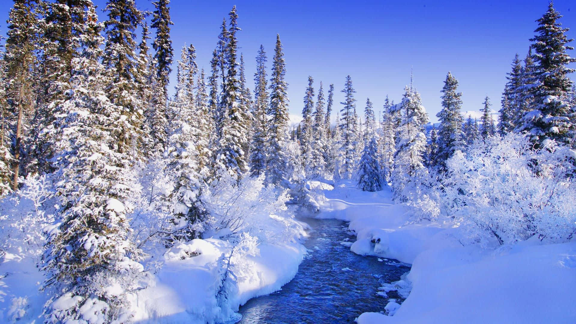 Winter Wonderland Scenery Wallpaper