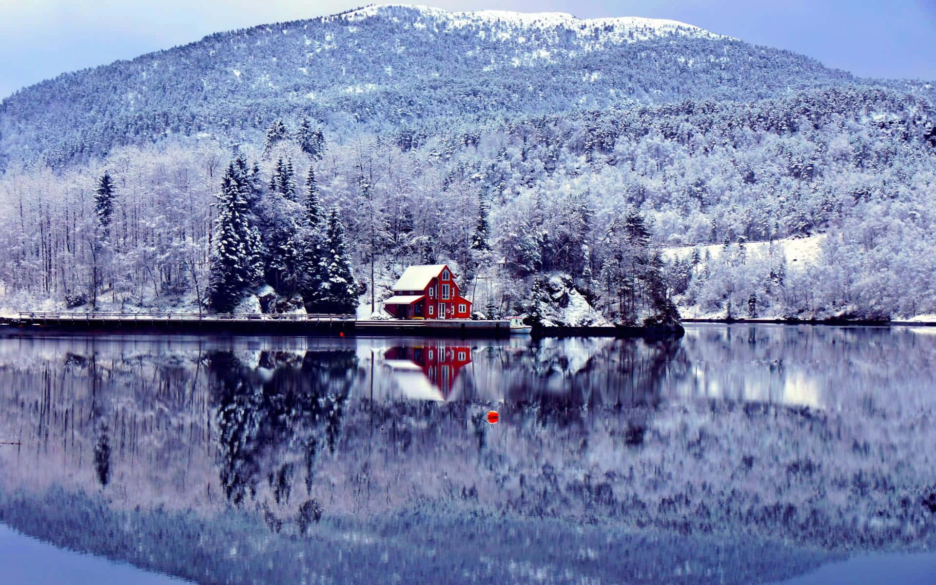 Magical Winter Wonderland Scene Wallpaper