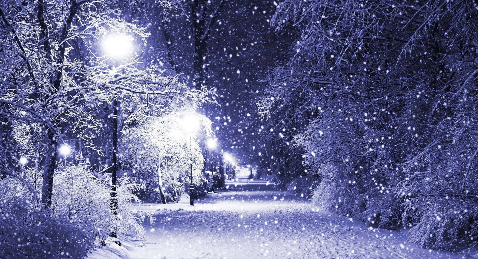 Enchanting Winter Wonderland Wallpaper