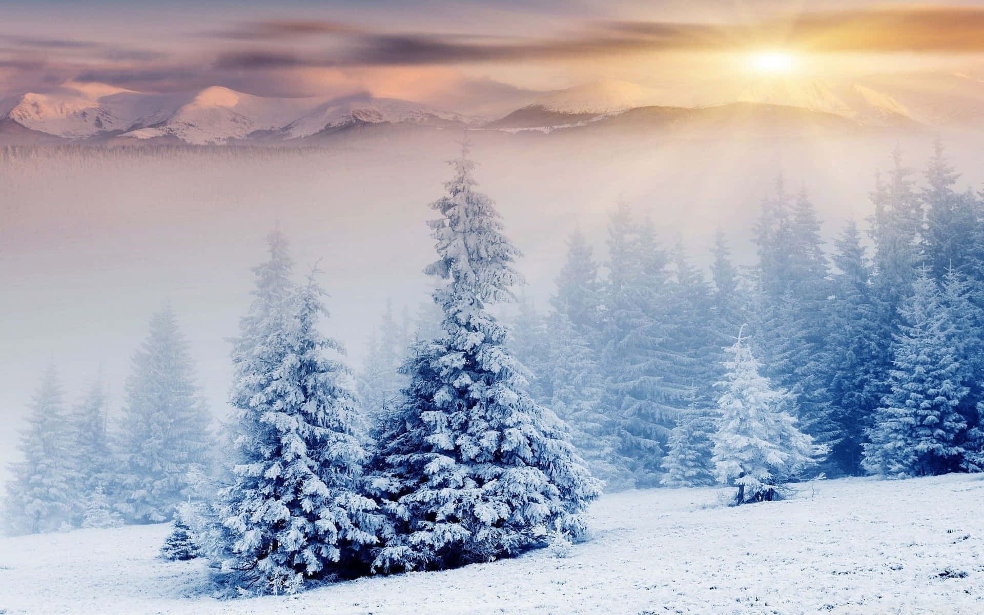 Caption: Experience the Serenity of a Winter Wonderland Wallpaper