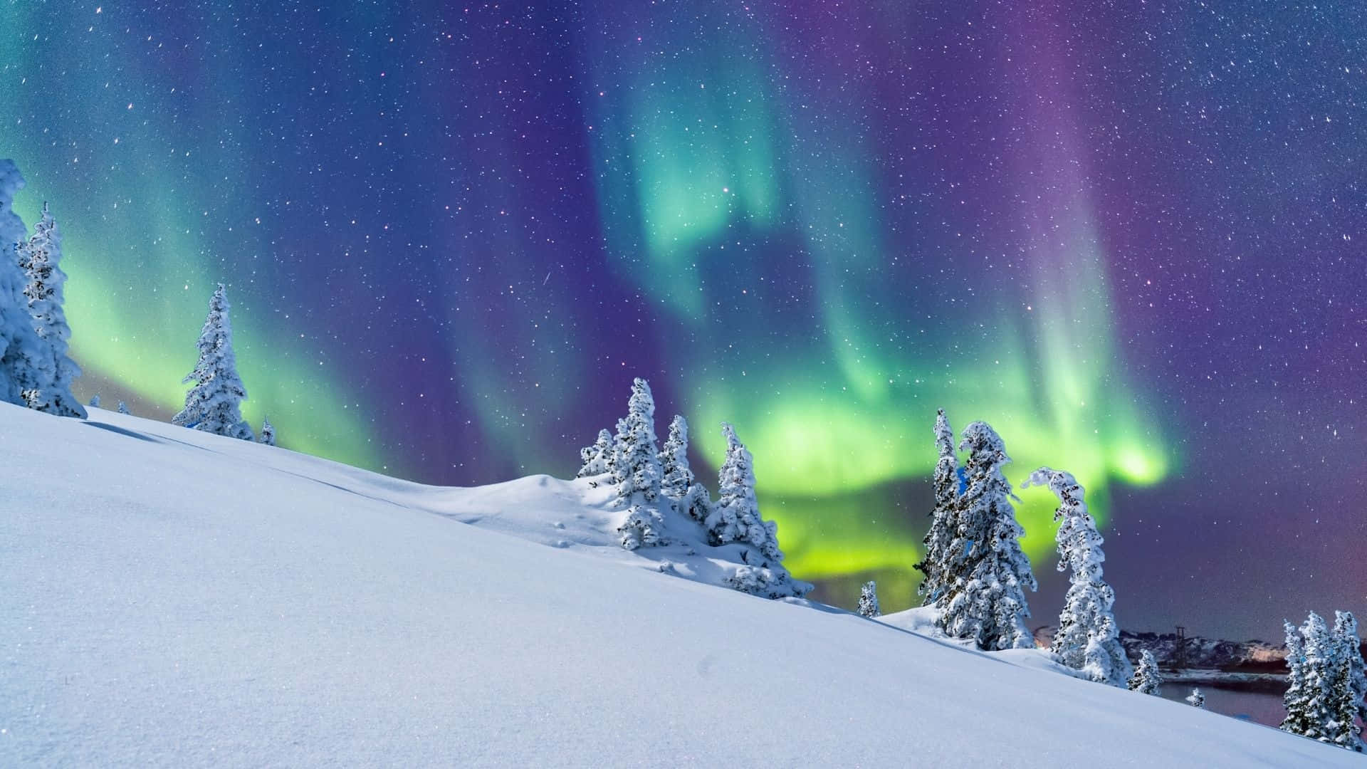 Aurora Borealis Winter Wonderland Background