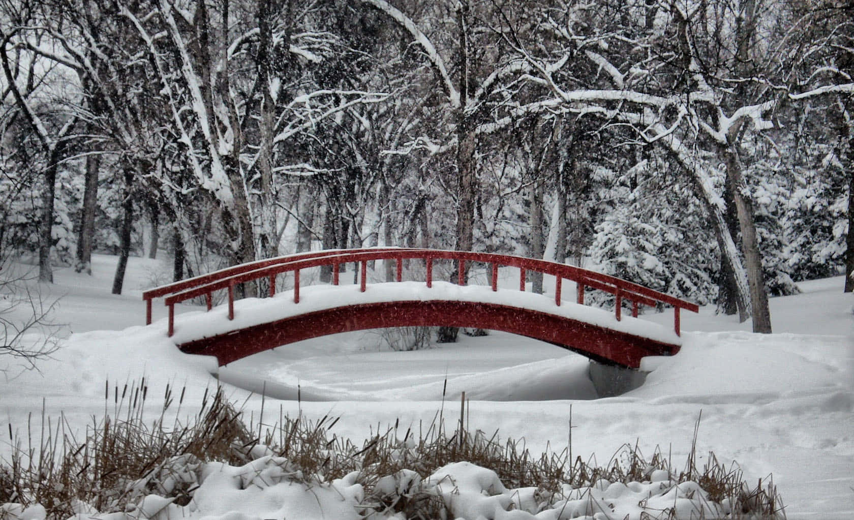 Schneebedecktejapanische Gartenbrücke Hintergrund Für Den Winterzauber.