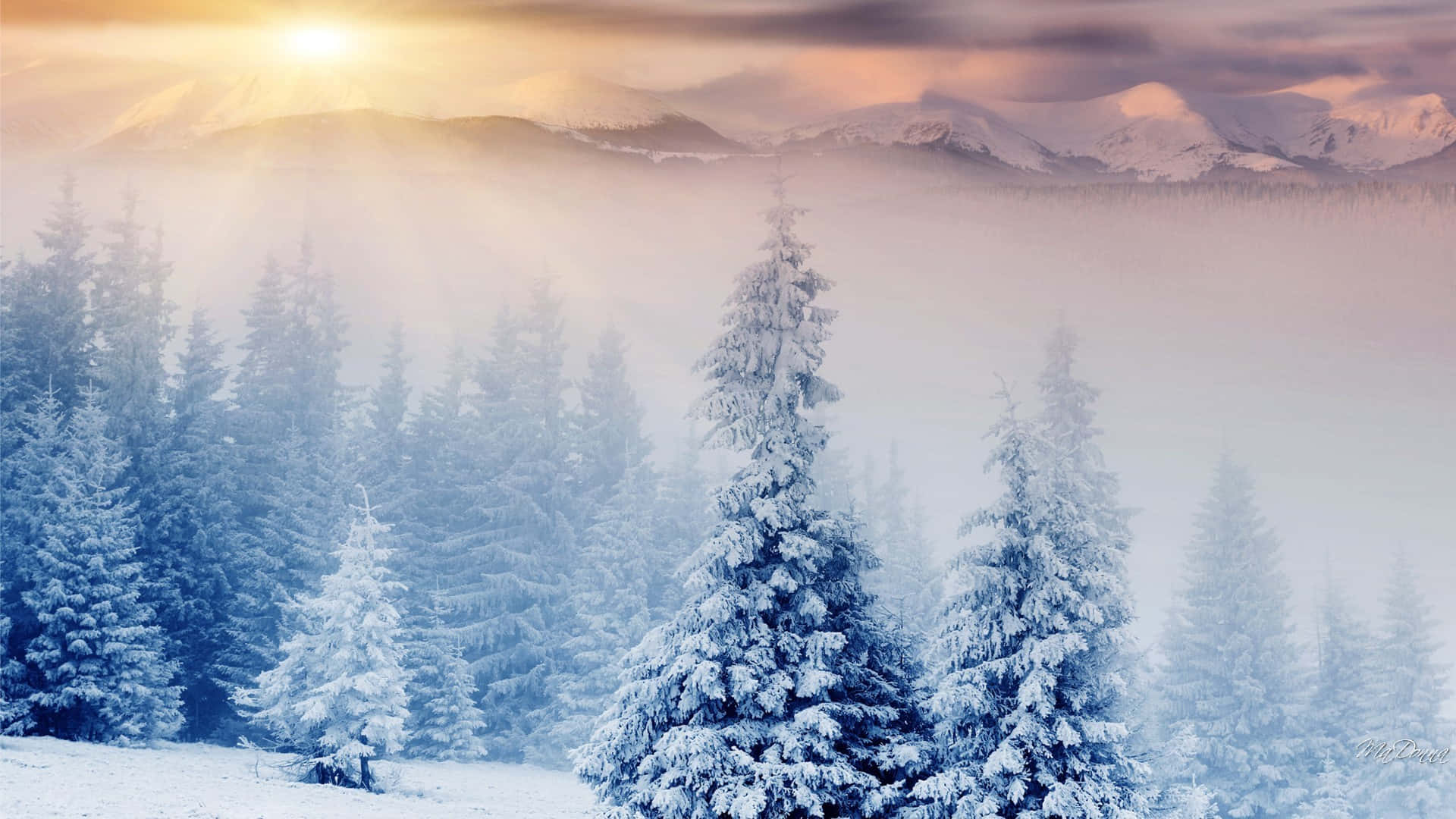Albasopra Uno Sfondo Di Paesaggio Invernale
