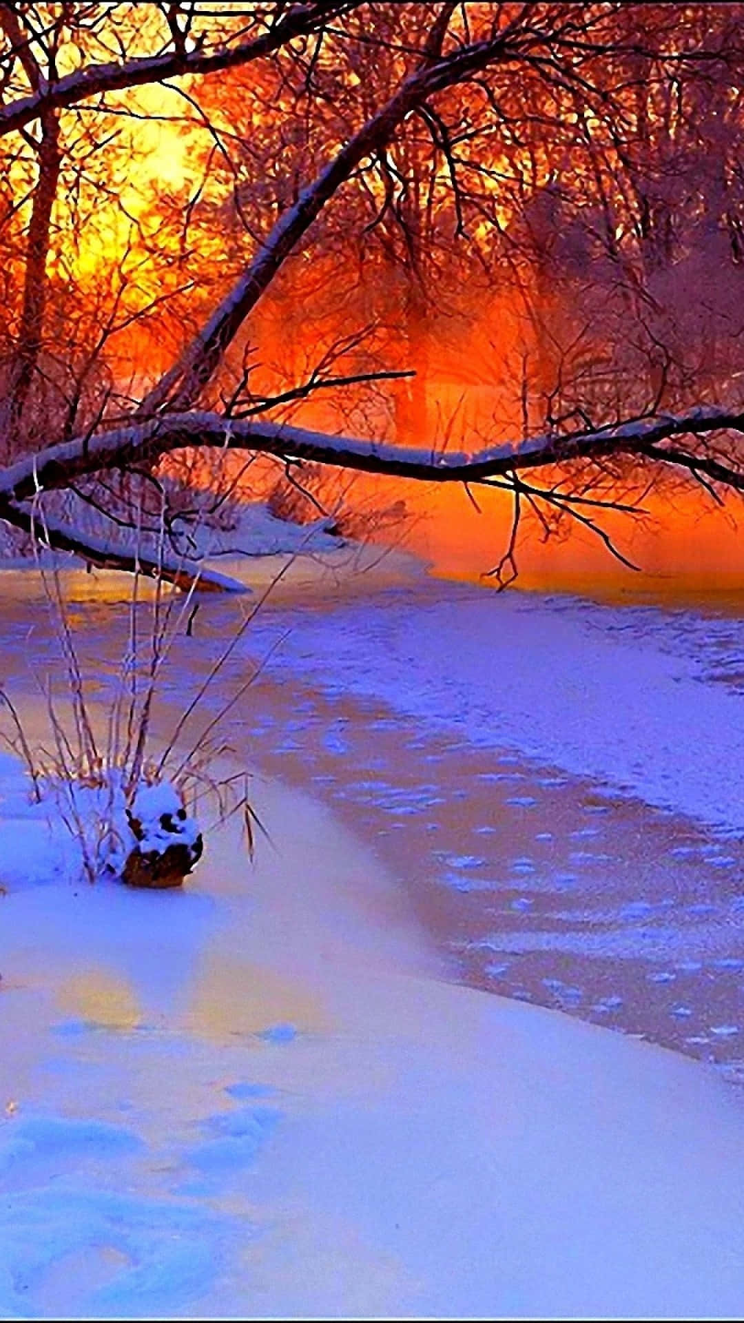 Verbrannterorangefarbener Himmel Eines Winterwunderland-hintergrunds