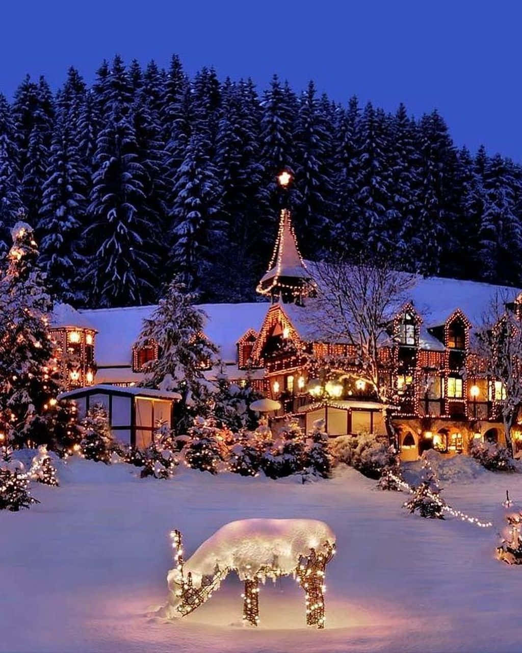 Scenisk juleæsons-vinter Wonderland baggrundsbillede