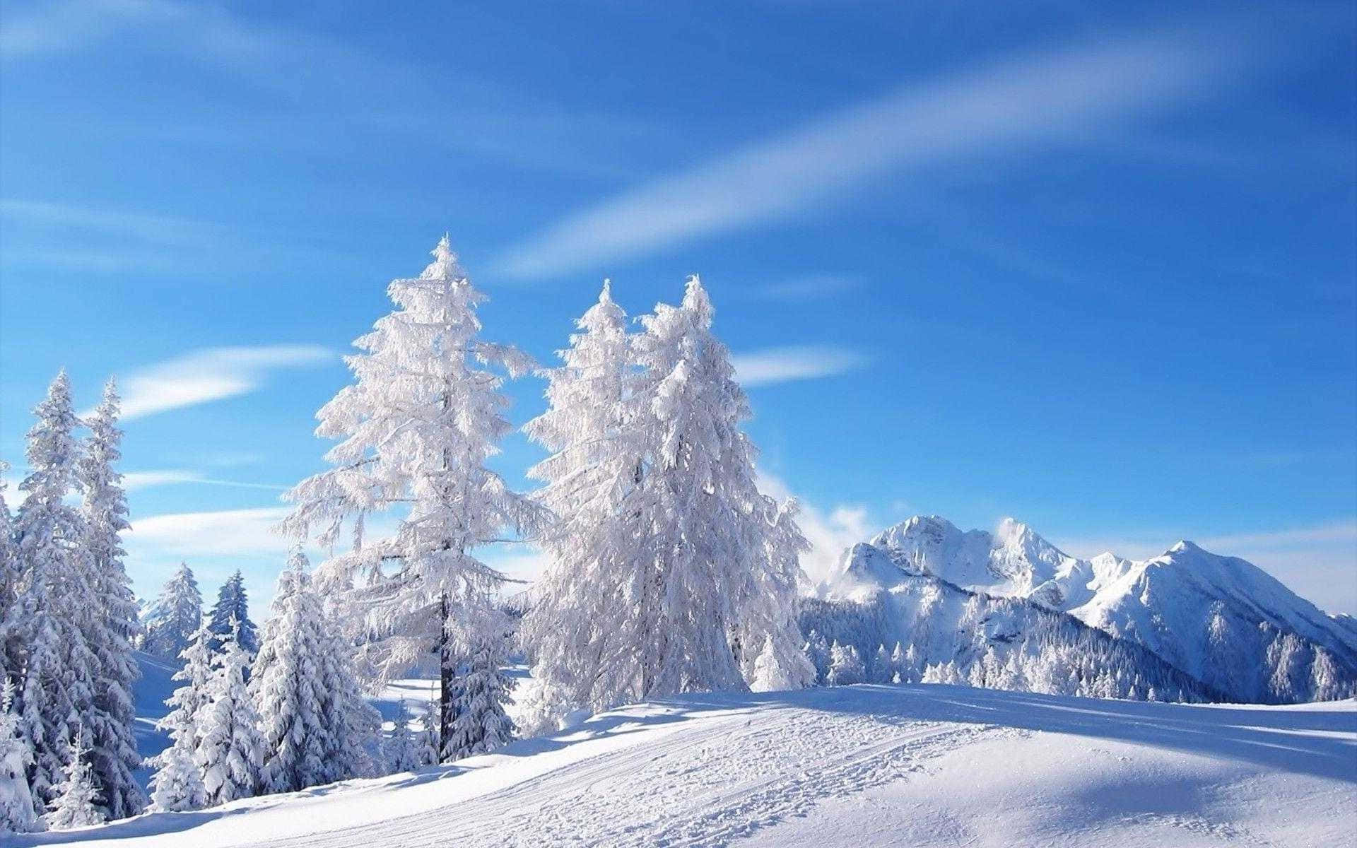 Snow-covered Mountain Winter Wonderland Background
