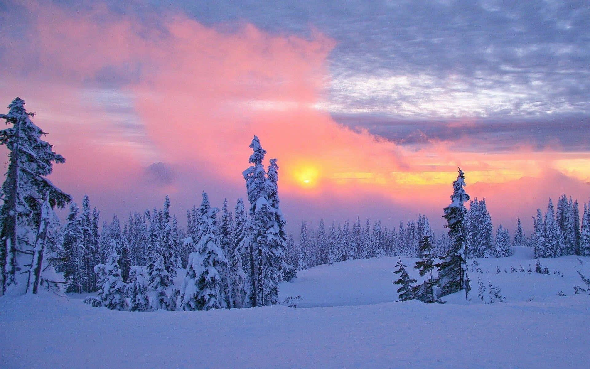 Sunset On Winter Wonderland Background