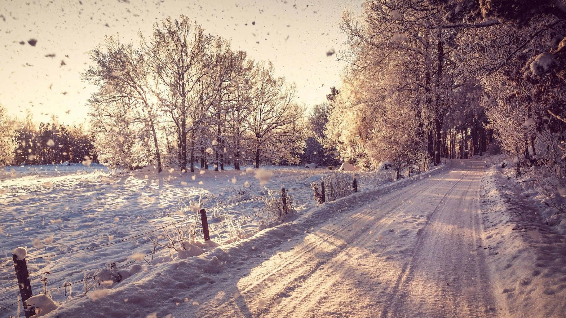 Snowy Afternoon Winter Wonderland Background