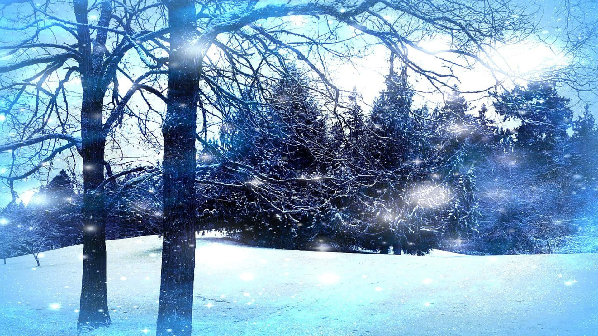 Naked Trees On Winter Wonderland Background