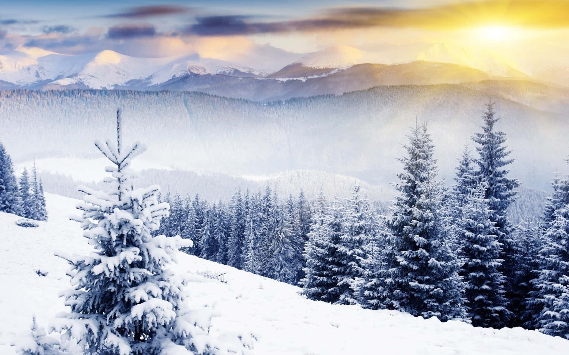 Winter Wonderland Desktop Wallpaper