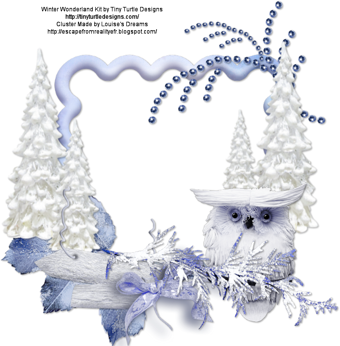 Winter Wonderland Owl Scene PNG