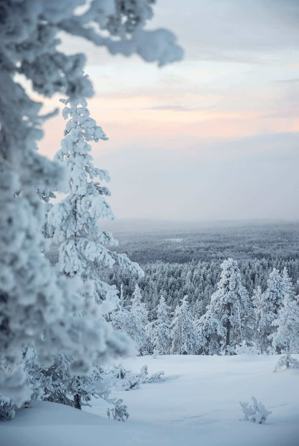 Sne Landskab Vinter Eventyr Billede: