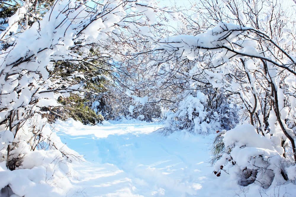 Schneewinter Wunderland Landschaftsbild