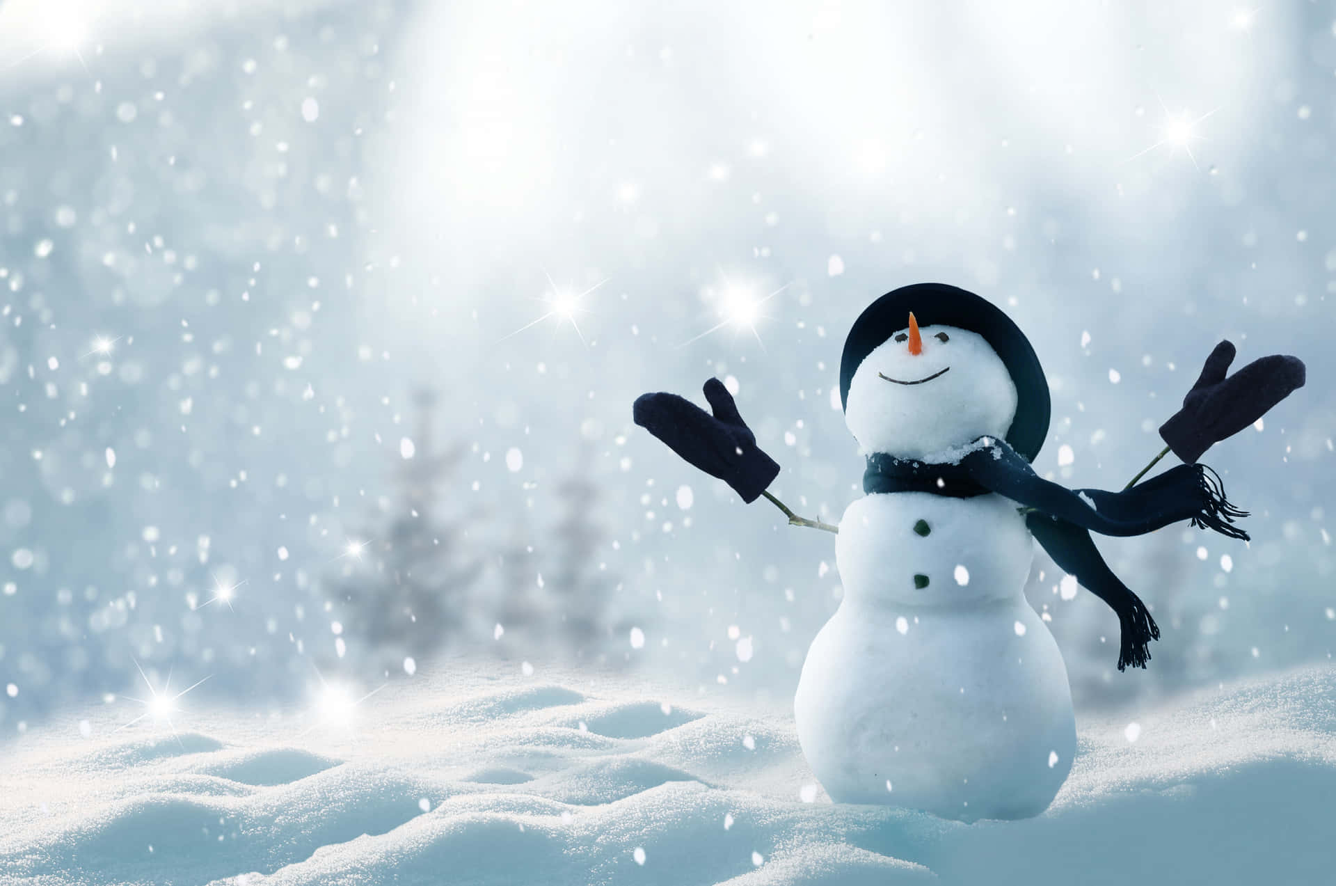 Christmas Cute Snowman Winter Wonderland Picture