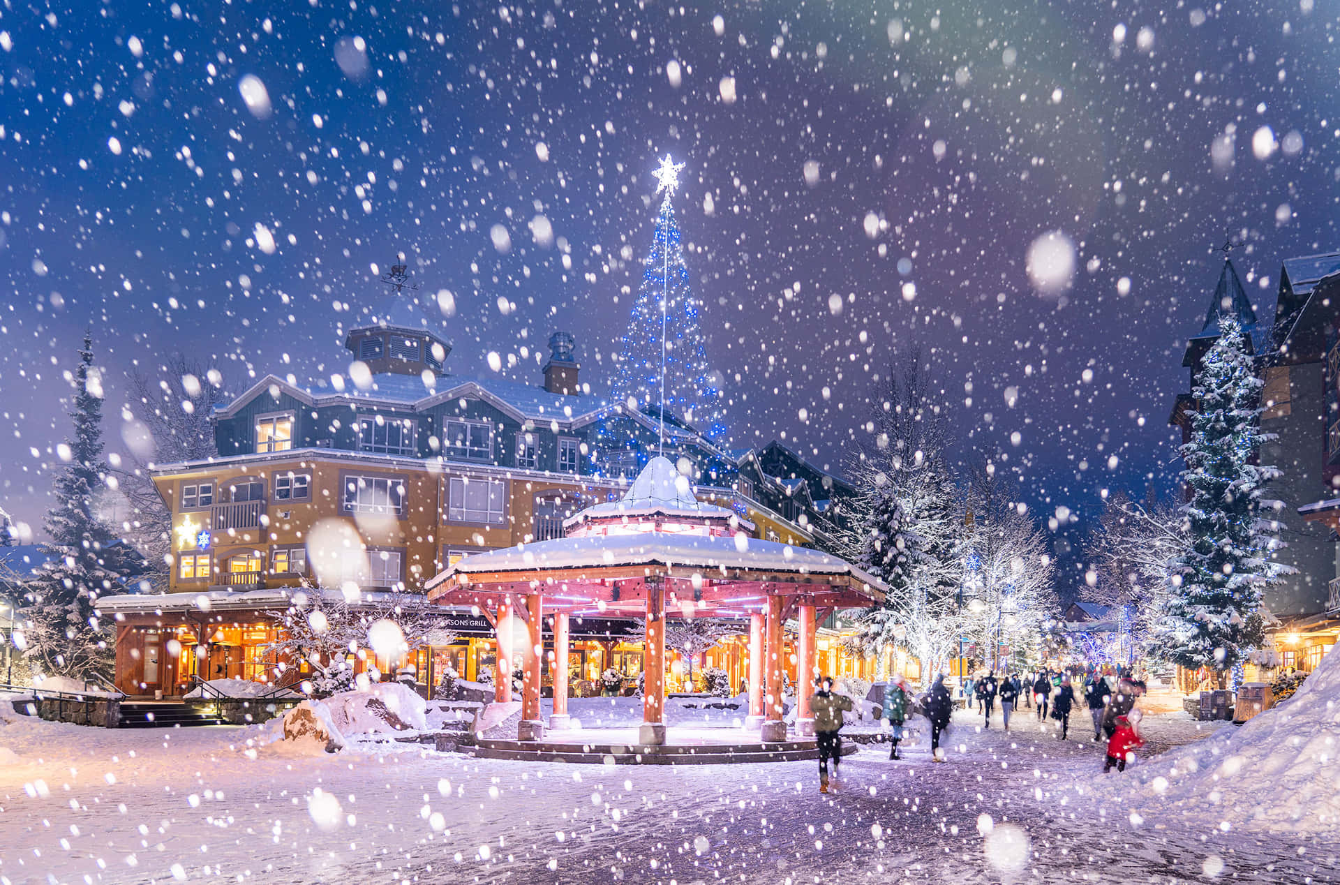 Magical Christmas Winter Wonderland Picture