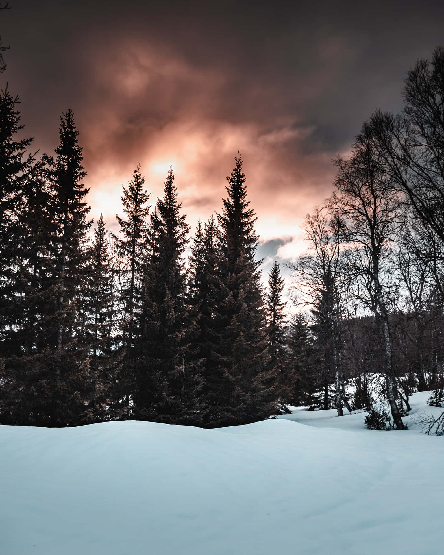 Immagineincantevole Di Un Tramonto Mistico In Un Meraviglioso Paesaggio Invernale.