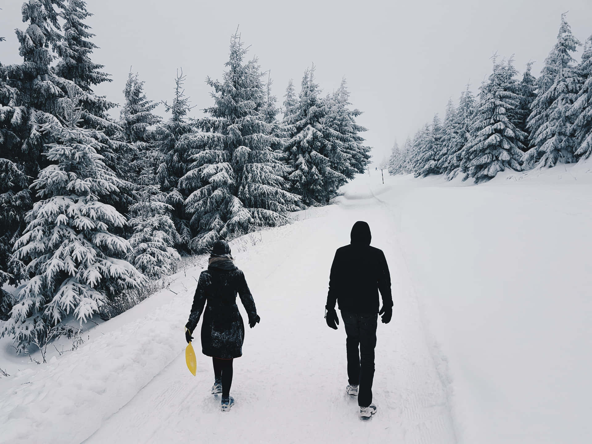 Imagende Paseo En La Nieve En Un Mundo Invernal