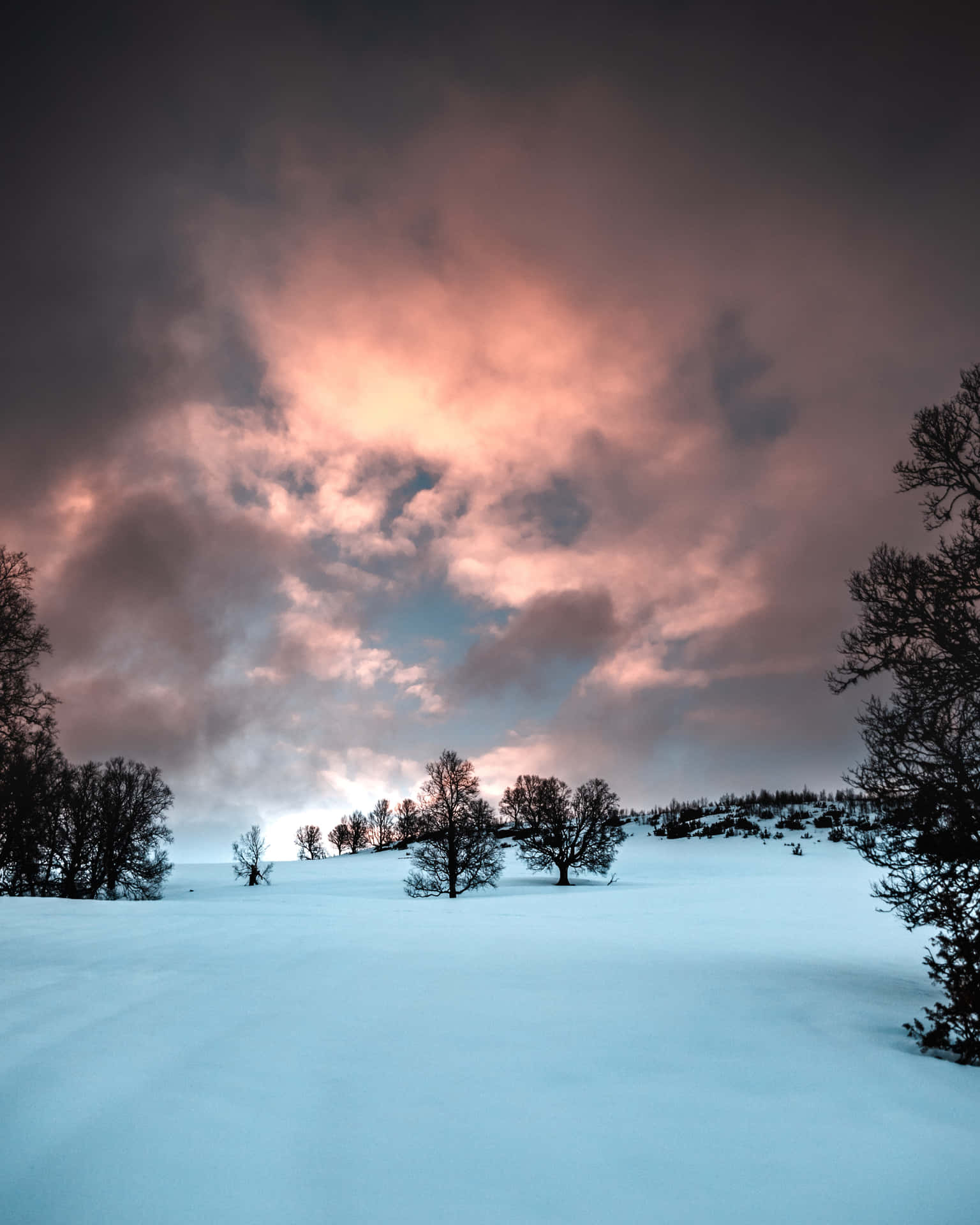 Verträumtesschnee Winter Wunderland Bild