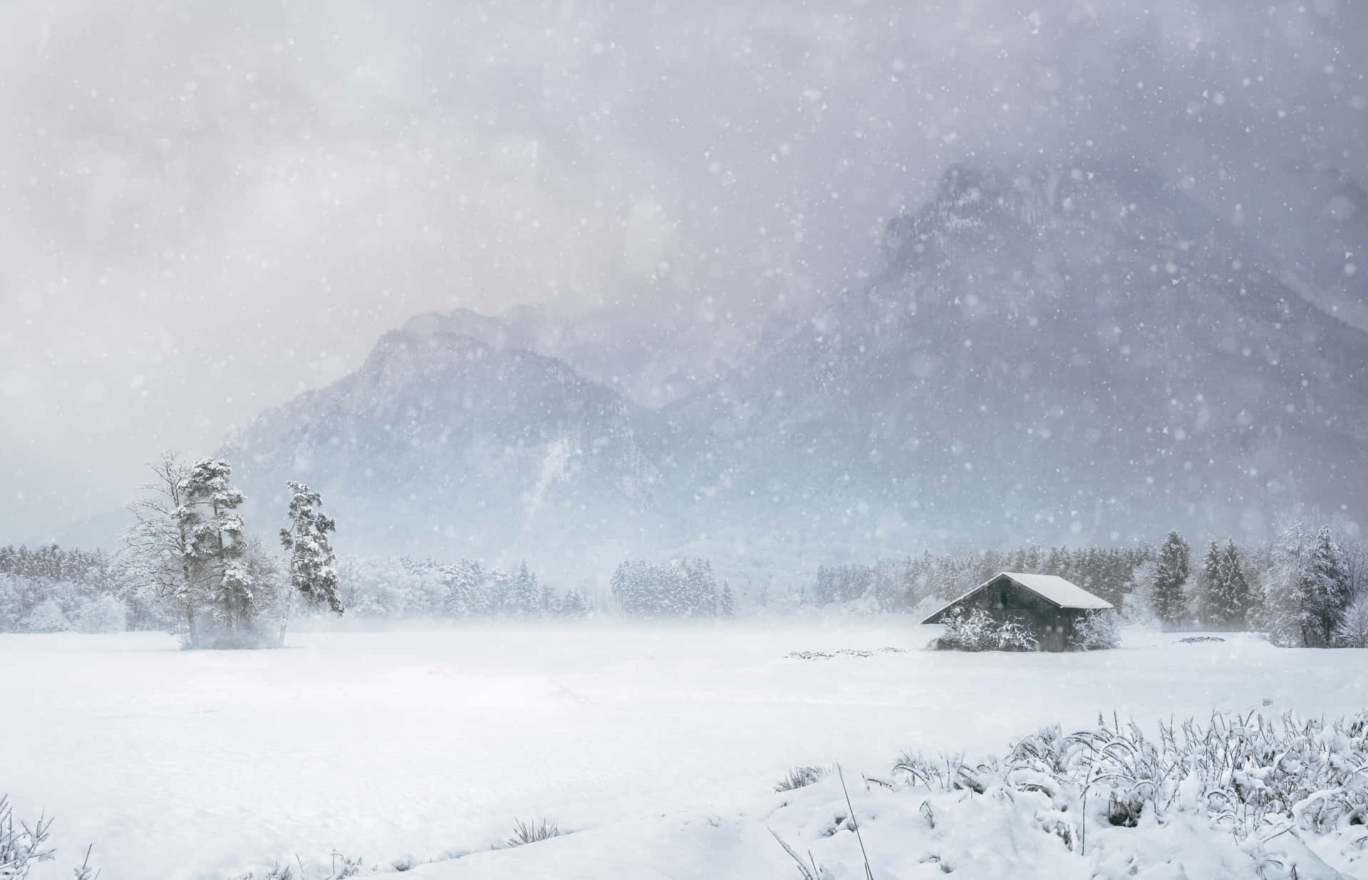 Winterwunderland Berglandschaftsbild
