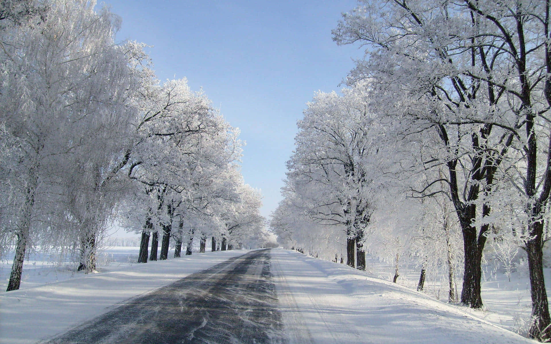 Winter Wonderland Road.jpg Wallpaper
