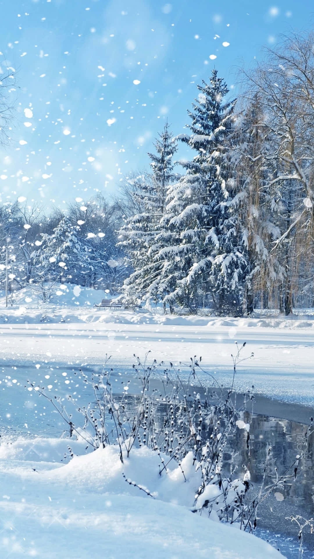 Winter Wonderland Snowfall.jpg Wallpaper